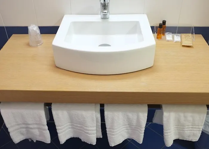 Hotel Della Citta Et De La Forlì