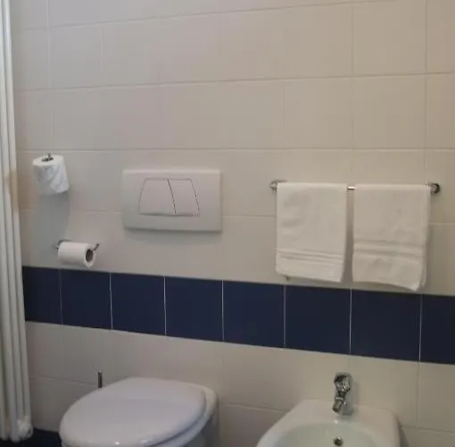 Hotel Della Citta Et De La Forlì