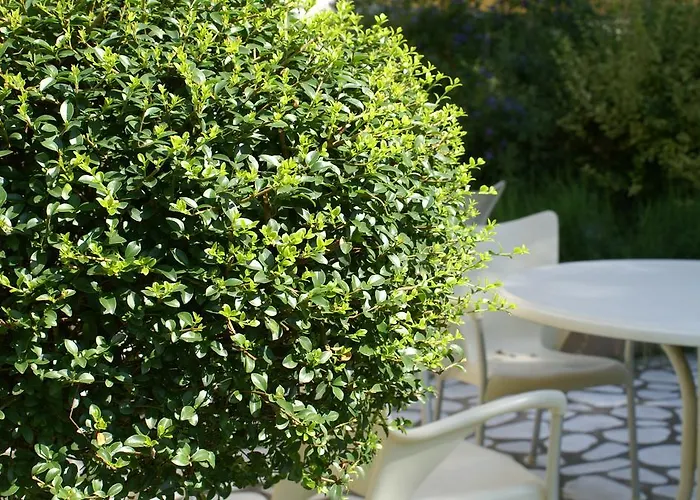 فندق Della Citta Et De La 4*